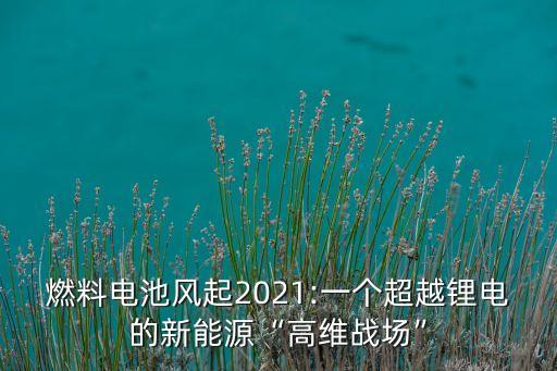 燃料電池風(fēng)起2021:一個(gè)超越鋰電的新能源“高維戰(zhàn)場(chǎng)”