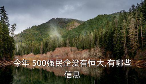 今年 500強民企沒有恒大,有哪些信息