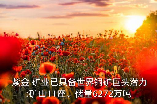  紫金 礦業(yè)已具備世界銅礦巨頭潛力:礦山11座、儲(chǔ)量6272萬(wàn)噸