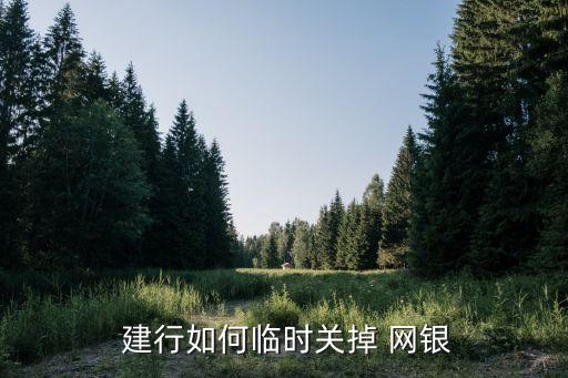  建行如何臨時(shí)關(guān)掉 網(wǎng)銀