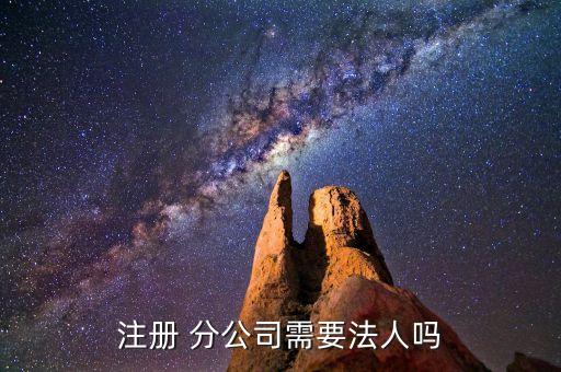 分公司法定代表人,波司登分公司法定代表人