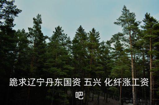 五興化纖集團(tuán),秦皇島五興集團(tuán)怎么樣