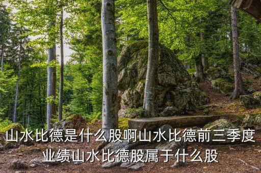 山水比德是什么股啊山水比德前三季度業(yè)績(jī)山水比德股屬于什么股