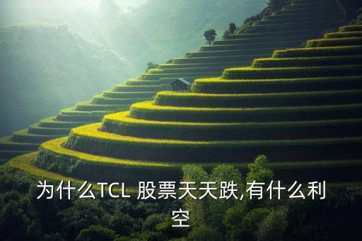 為什么TCL 股票天天跌,有什么利空