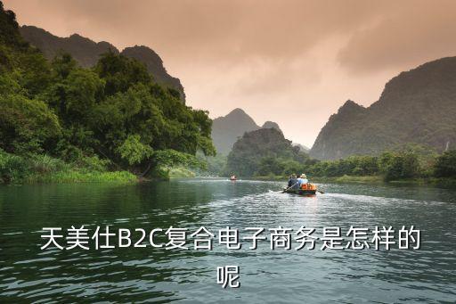  天美仕B2C復合電子商務(wù)是怎樣的呢