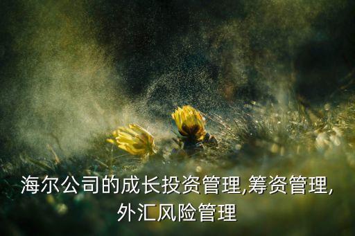 海爾公司的成長投資管理,籌資管理,外匯風(fēng)險管理