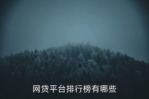 網(wǎng)貸平臺(tái)排行榜有哪些