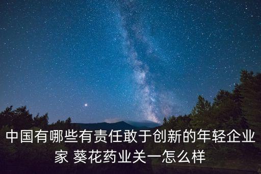 中國有哪些有責任敢于創(chuàng)新的年輕企業(yè)家 葵花藥業(yè)關(guān)一怎么樣