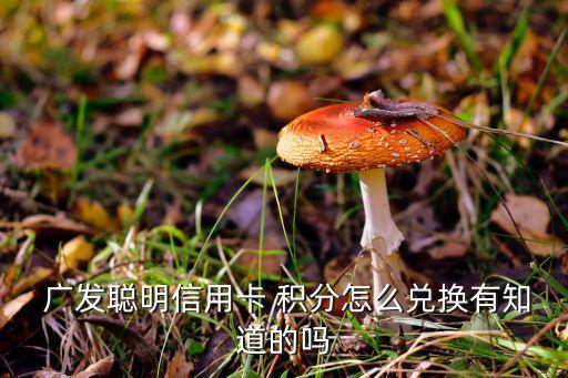  廣發(fā)聰明信用卡 積分怎么兌換有知道的嗎