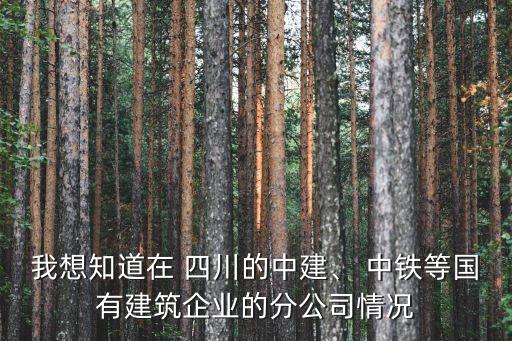 我想知道在 四川的中建、 中鐵等國有建筑企業(yè)的分公司情況