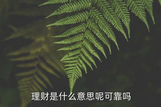  理財(cái)是什么意思呢可靠嗎