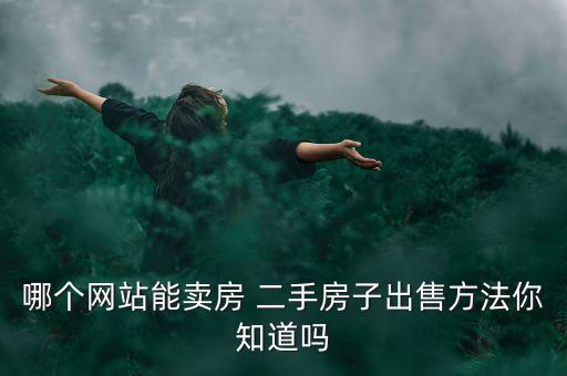 哪個(gè)網(wǎng)站能賣房 二手房子出售方法你知道嗎