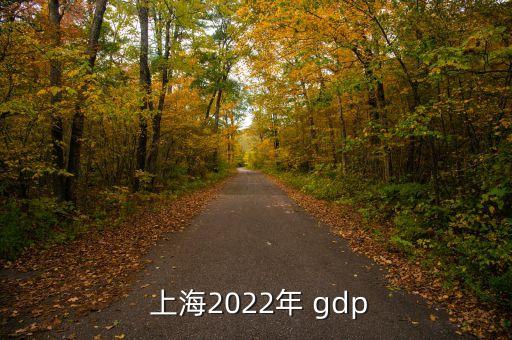  上海2022年 gdp