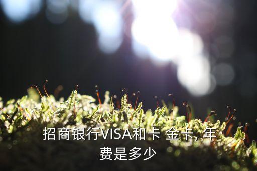  招商銀行VISA和卡 金卡, 年費(fèi)是多少