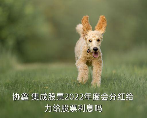 協(xié)鑫 集成股票2022年度會分紅給力給股票利息嗎