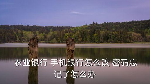 手機可以修改農(nóng)業(yè)行銀行卡密碼嗎,手機上可以修改銀行卡綁定號碼嗎