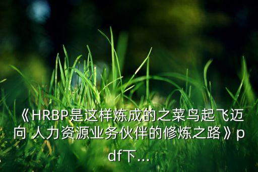 《HRBP是這樣煉成的之菜鳥(niǎo)起飛邁向 人力資源業(yè)務(wù)伙伴的修煉之路》pdf下...