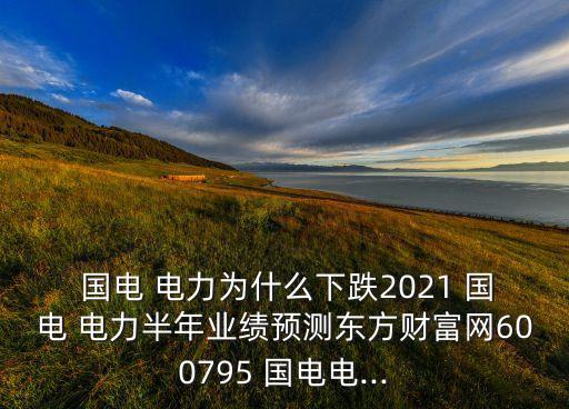 國電電力發(fā)展股份有限公司周大兵個人簡歷,北京國電電力發(fā)展股份有限公司