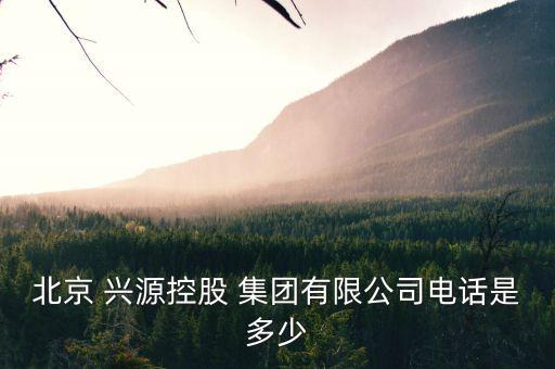 北京 興源控股 集團(tuán)有限公司電話是多少