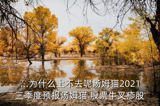 ...為什么上不去呢湯姆貓2021三季度預報湯姆貓 股票牛叉疹股