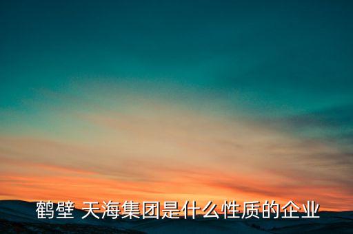 鶴壁天海電子信息系統(tǒng)有限公司