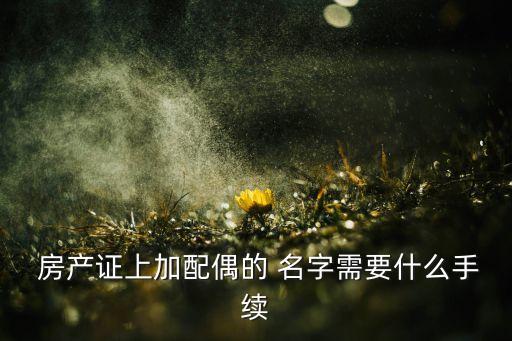  房產證上加配偶的 名字需要什么手續(xù)