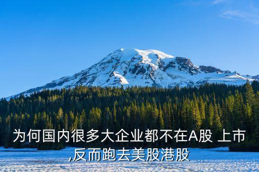 為何國內(nèi)很多大企業(yè)都不在A股 上市,反而跑去美股港股