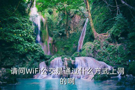 北京公交車(chē)上的wifi是免費(fèi)的嗎