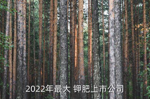 2022年最大 鉀肥上市公司