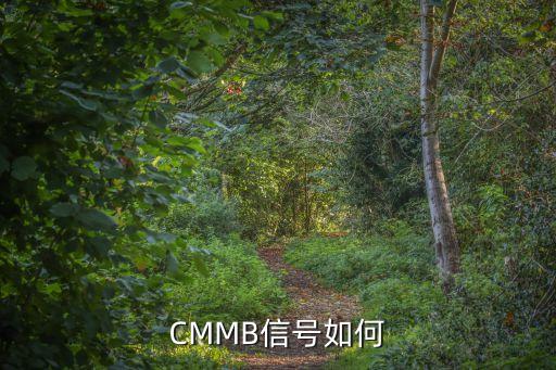 CMMB信號(hào)如何