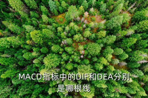 MACD指標(biāo)中的DIF和DEA分別是哪根線