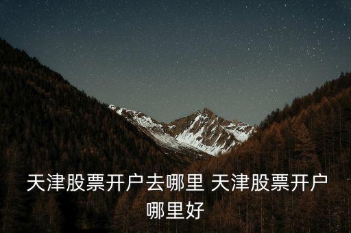 天津德源投資背景