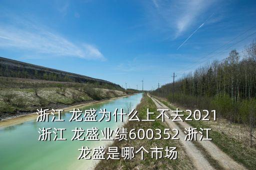  浙江 龍盛為什么上不去2021 浙江 龍盛業(yè)績600352 浙江 龍盛是哪個(gè)市場