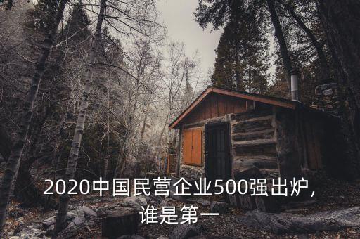 2020中國民營企業(yè)500強出爐,誰是第一