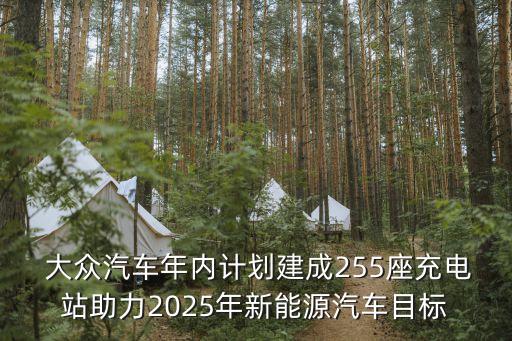  大眾汽車年內(nèi)計劃建成255座充電站助力2025年新能源汽車目標