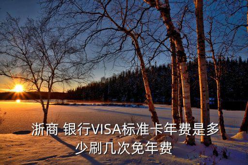  浙商 銀行VISA標準卡年費是多少刷幾次免年費