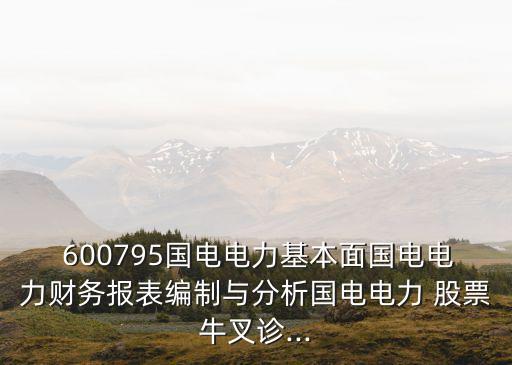  600795國電電力基本面國電電力財務報表編制與分析國電電力 股票牛叉診...