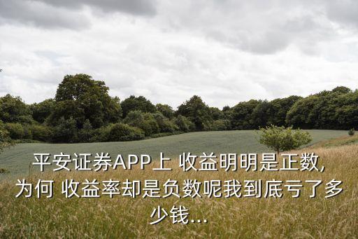 平安證券APP上 收益明明是正數(shù),為何 收益率卻是負數(shù)呢我到底虧了多少錢...