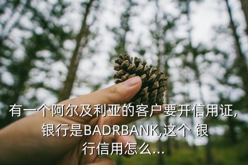 有一個阿爾及利亞的客戶要開信用證, 銀行是BADRBANK,這個 銀行信用怎么...