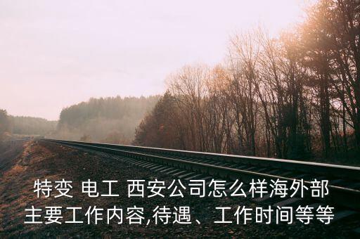  特變 電工 西安公司怎么樣海外部主要工作內(nèi)容,待遇、工作時(shí)間等等