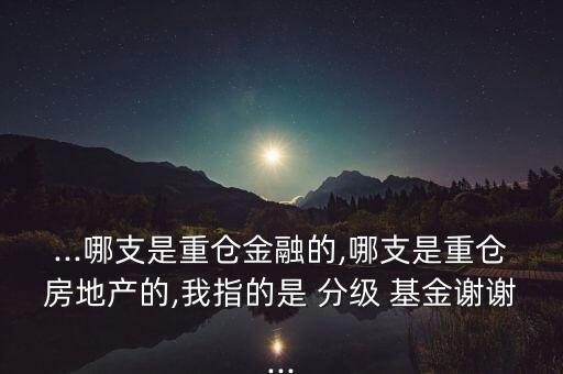 ...哪支是重倉(cāng)金融的,哪支是重倉(cāng)房地產(chǎn)的,我指的是 分級(jí) 基金謝謝...