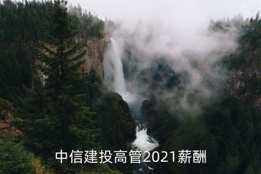 中信建投高管2021薪酬