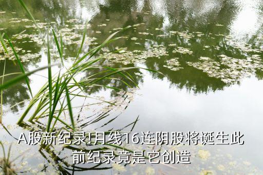 A股新紀(jì)錄!月線16連陰股將誕生此前紀(jì)錄竟是它創(chuàng)造