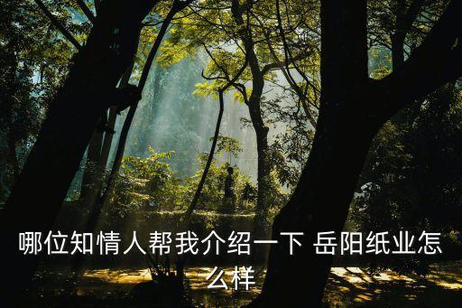 哪位知情人幫我介紹一下 岳陽(yáng)紙業(yè)怎么樣