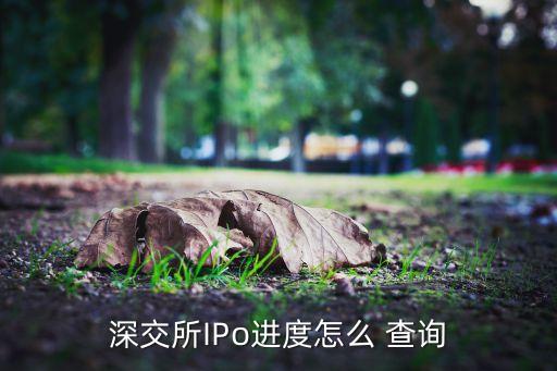 深交所IPo進度怎么 查詢