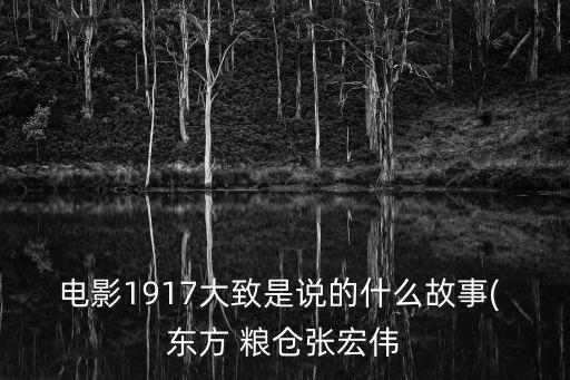 電影1917大致是說的什么故事( 東方 糧倉(cāng)張宏偉