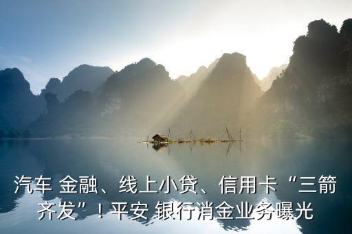 汽車 金融、線上小貸、信用卡“三箭齊發(fā)”! 平安 銀行消金業(yè)務(wù)曝光