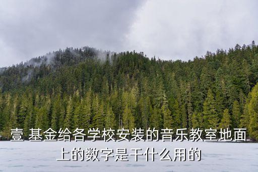 壹 基金給各學(xué)校安裝的音樂教室地面上的數(shù)字是干什么用的