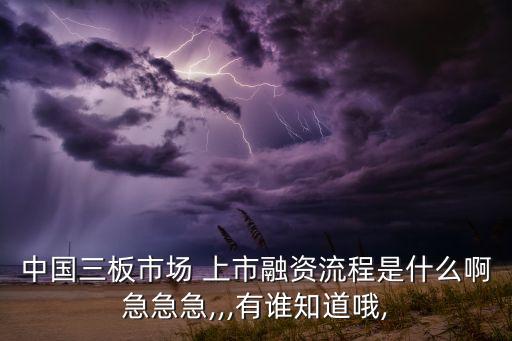 中國三板市場 上市融資流程是什么啊急急急,,,有誰知道哦,