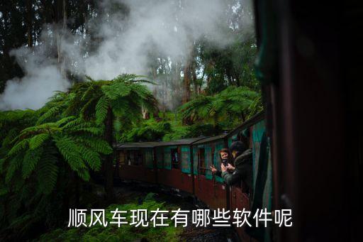 順風(fēng)車現(xiàn)在有哪些軟件呢